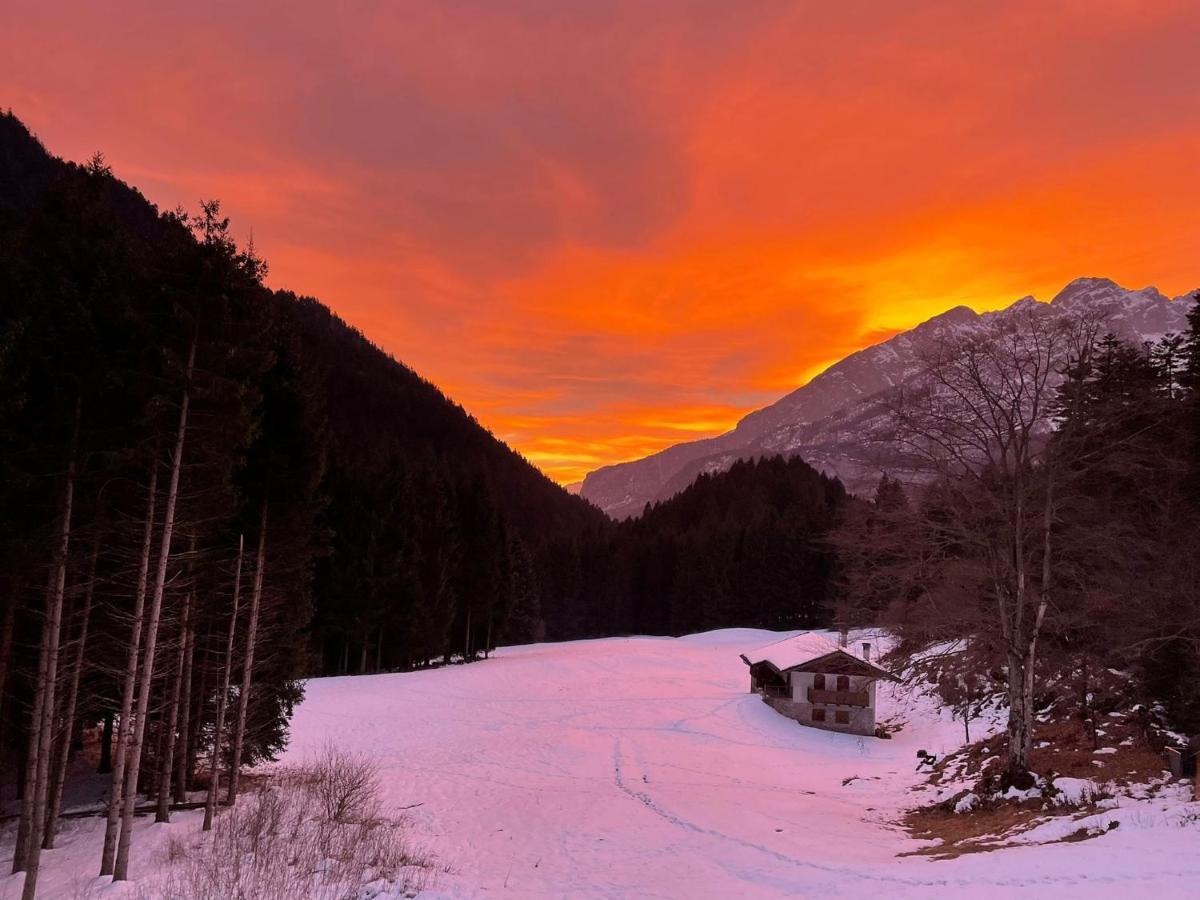 הוילה Chalet Relax Molveno E Andalo Dolomiti מראה חיצוני תמונה