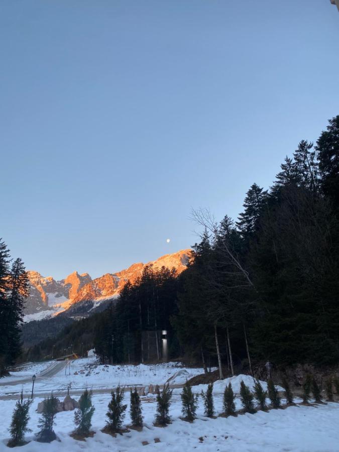 הוילה Chalet Relax Molveno E Andalo Dolomiti מראה חיצוני תמונה