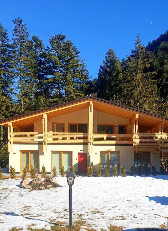 הוילה Chalet Relax Molveno E Andalo Dolomiti מראה חיצוני תמונה