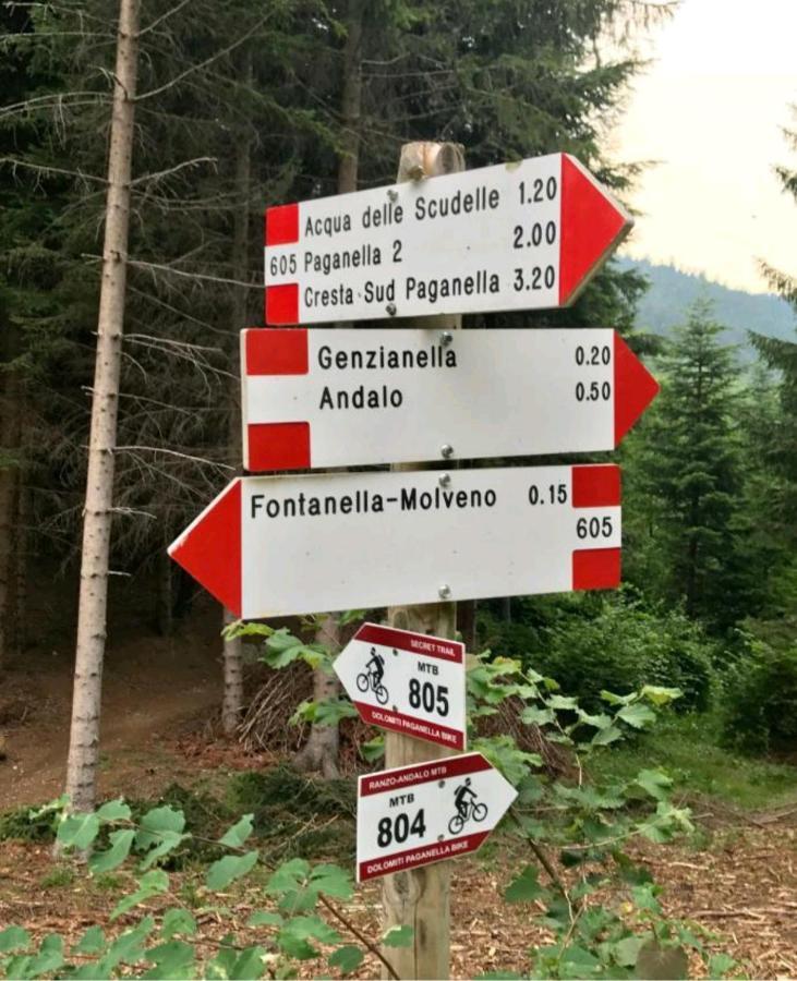 הוילה Chalet Relax Molveno E Andalo Dolomiti מראה חיצוני תמונה
