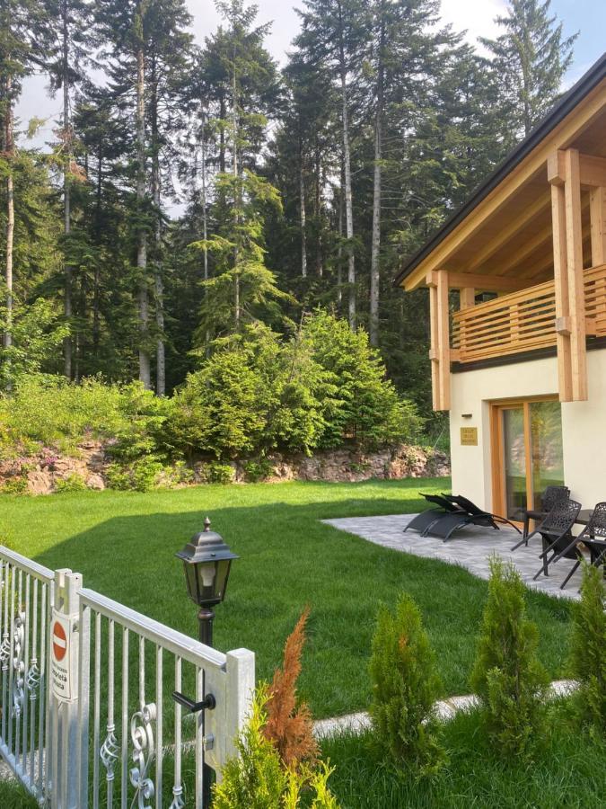 הוילה Chalet Relax Molveno E Andalo Dolomiti מראה חיצוני תמונה