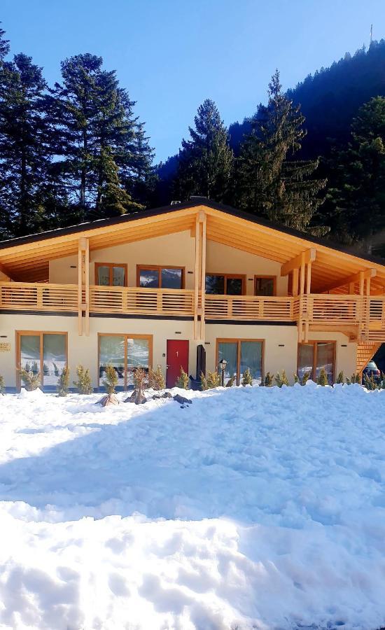 הוילה Chalet Relax Molveno E Andalo Dolomiti מראה חיצוני תמונה