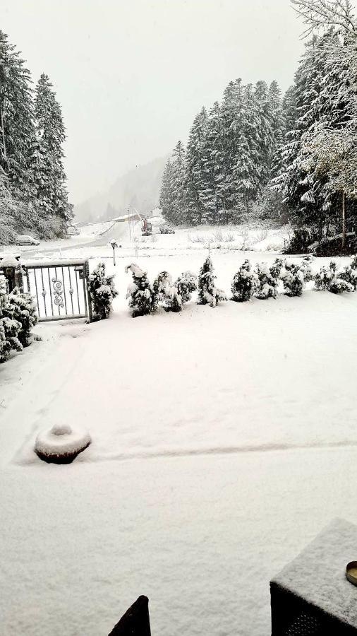 הוילה Chalet Relax Molveno E Andalo Dolomiti מראה חיצוני תמונה