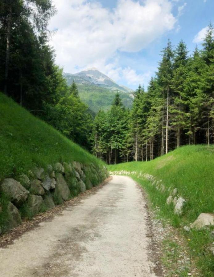 הוילה Chalet Relax Molveno E Andalo Dolomiti מראה חיצוני תמונה