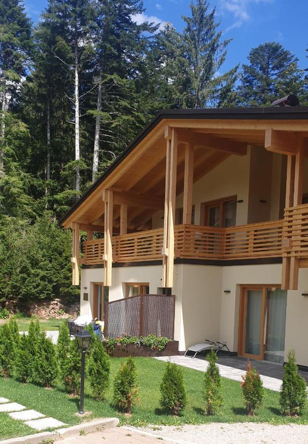הוילה Chalet Relax Molveno E Andalo Dolomiti מראה חיצוני תמונה
