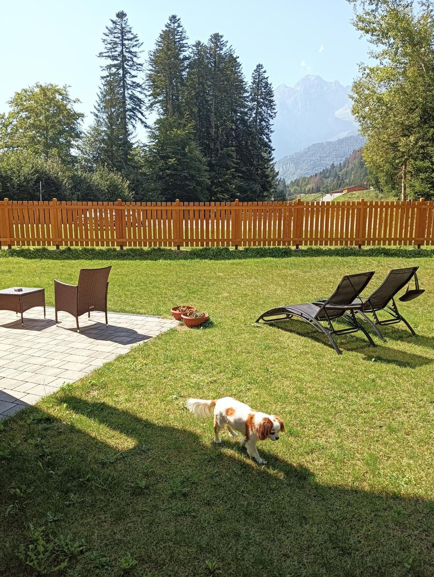 הוילה Chalet Relax Molveno E Andalo Dolomiti מראה חיצוני תמונה
