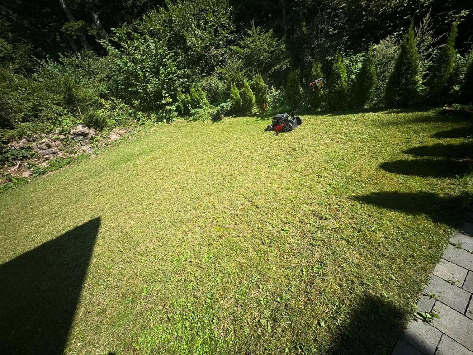 הוילה Chalet Relax Molveno E Andalo Dolomiti מראה חיצוני תמונה